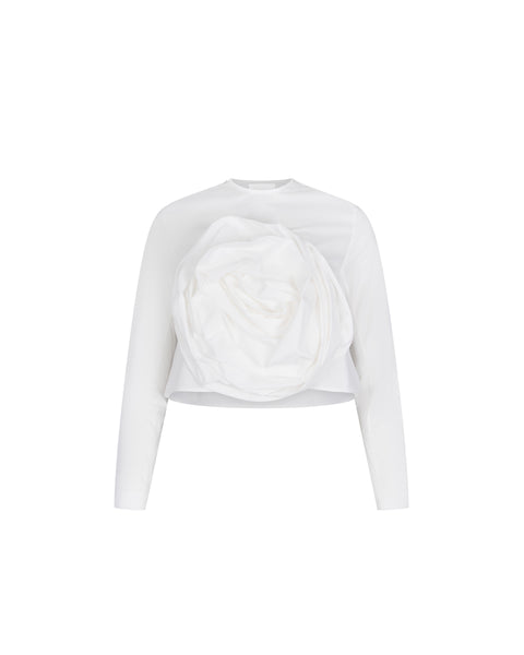 Anemone Top Milano – Moda Zeta